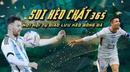 giao diện app soi kèo bóng đá 365