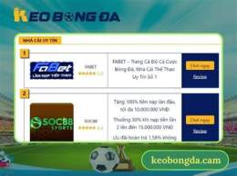 giao diện app soi kèo bóng đá trực tiếp nhà cái