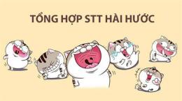 giao diện app stt bóng đá hài hước