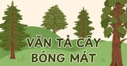 giao diện app tả cây bóng mát lớp 4 cây đa