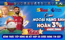 giao diện app trực tiếp bóng đá bán kết