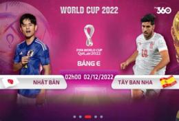 giao diện app trực tiếp bóng đá tây ban nha world cup