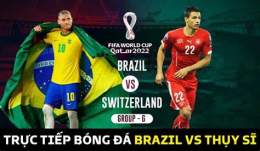 giao diện app trực tiếp bóng đá world cup thụy sĩ