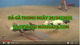 giao diện app trực tiếp đá gà sao bông 67