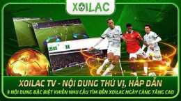 giao diện app tv trực tiếp bóng đá