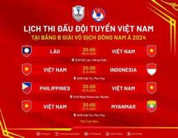 giao diện app việt nam lich thi đấu bóng đá