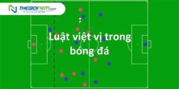 giao diện app việt vị bóng đá là gì