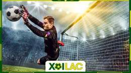 giao diện app xoilac đá bóng
