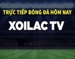giao diện app xoilac trực tiếp bóng đá lương sơn