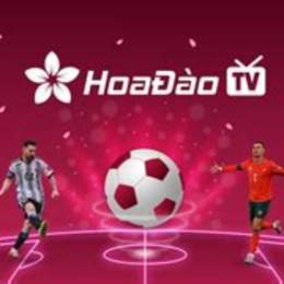 hoa đào tv bóng đá