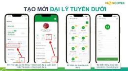 hướng dẫn sử dụng app xem bong da