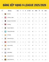 hướng dẫn sử dụng bảng xếp hạng v-league bóng đá việt nam