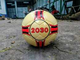 hướng dẫn sử dụng bóng đá 2030