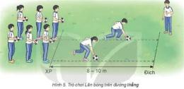 hướng dẫn sử dụng bóng đá 7/7