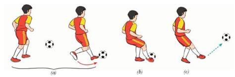 hướng dẫn sử dụng bong da bàn chân