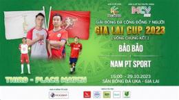 hướng dẫn sử dụng bóng đá gia lai