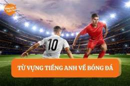 hướng dẫn sử dụng bong da hang nhat anh