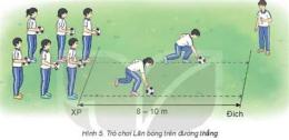hướng dẫn sử dụng bóng đá long an