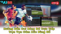 hướng dẫn sử dụng bóng đá lu 88