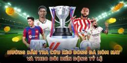 hướng dẫn sử dụng bong đa nha cai