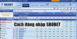 hướng dẫn sử dụng bong da sbobet