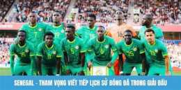 hướng dẫn sử dụng bóng đá senegal