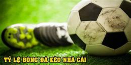 hướng dẫn sử dụng bong da so ty le nha cai