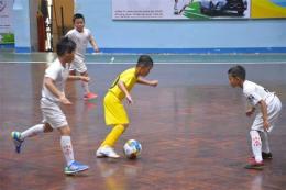 hướng dẫn sử dụng bóng đá sông lam