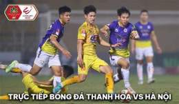 hướng dẫn sử dụng bong da thanh hoa