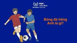 hướng dẫn sử dụng bóng đá tiếng anh đọc là gì