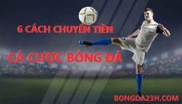 hướng dẫn sử dụng bong da ty le ca cuoc