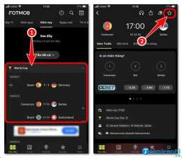 hướng dẫn sử dụng bóng đá tỷ số world cup