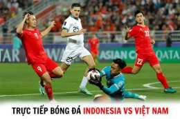 hướng dẫn sử dụng bóng đá vn indonesia trực tiếp