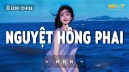 hướng dẫn sử dụng bóng trăng đã phai tàn rồi bên hồ nguyệt
