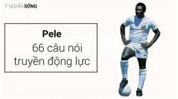 hướng dẫn sử dụng cầu thủ bóng đá pele