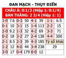 hướng dẫn sử dụng cúp bóng đá đan mạch
