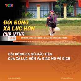 hướng dẫn sử dụng đá bóng vtv5