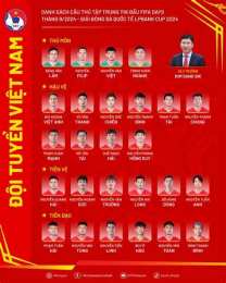 hướng dẫn sử dụng đội tuyển việt nam đá bóng