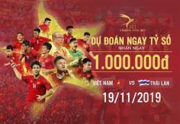 hướng dẫn sử dụng dự đoán bóng đá việt nam