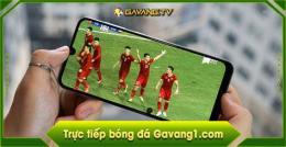 hướng dẫn sử dụng gavang com truc tiếp bóng đá