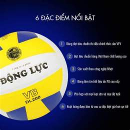 hướng dẫn sử dụng giá bóng chuyền da