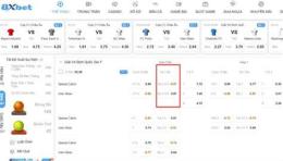 hướng dẫn sử dụng giá cá cược bóng đá hôm nay