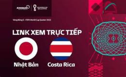 hướng dẫn sử dụng giải bóng đá costa rica