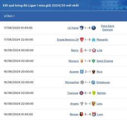 hướng dẫn sử dụng giải bóng đá pháp ligue 1