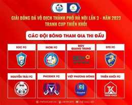 hướng dẫn sử dụng giải bóng đá vô địch hà lan