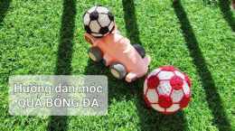 hướng dẫn sử dụng keest quar bong da
