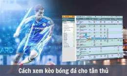 hướng dẫn sử dụng kèo cá cược bóng đá cúp c1