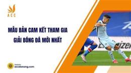 hướng dẫn sử dụng kết qả bóng đá