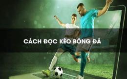 hướng dẫn sử dụng kết quả bóng đá bóng đá