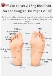 hướng dẫn sử dụng lòng bàn chân bị bong da